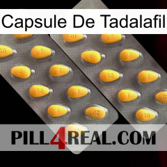 Tadalafil Capsule cialis2